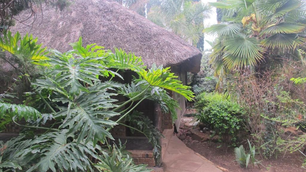 Aero Guest Lodge Kempton Park Bagian luar foto